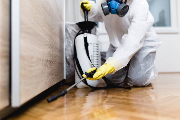 Best Emergency Pest Control  in Minor, AL