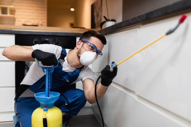 Best Cockroach Control Services  in Minor, AL
