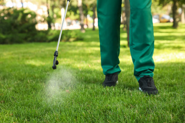 Best Pest Inspection Near Me  in Minor, AL