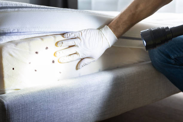 Best Best Pest Control Companies  in Minor, AL