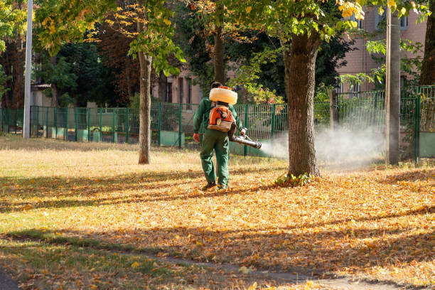 Pest Control for Restaurants in Minor, AL