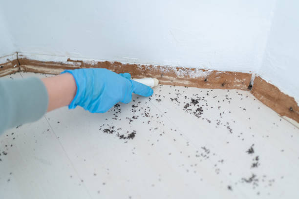 Best Wildlife Control Services  in Minor, AL